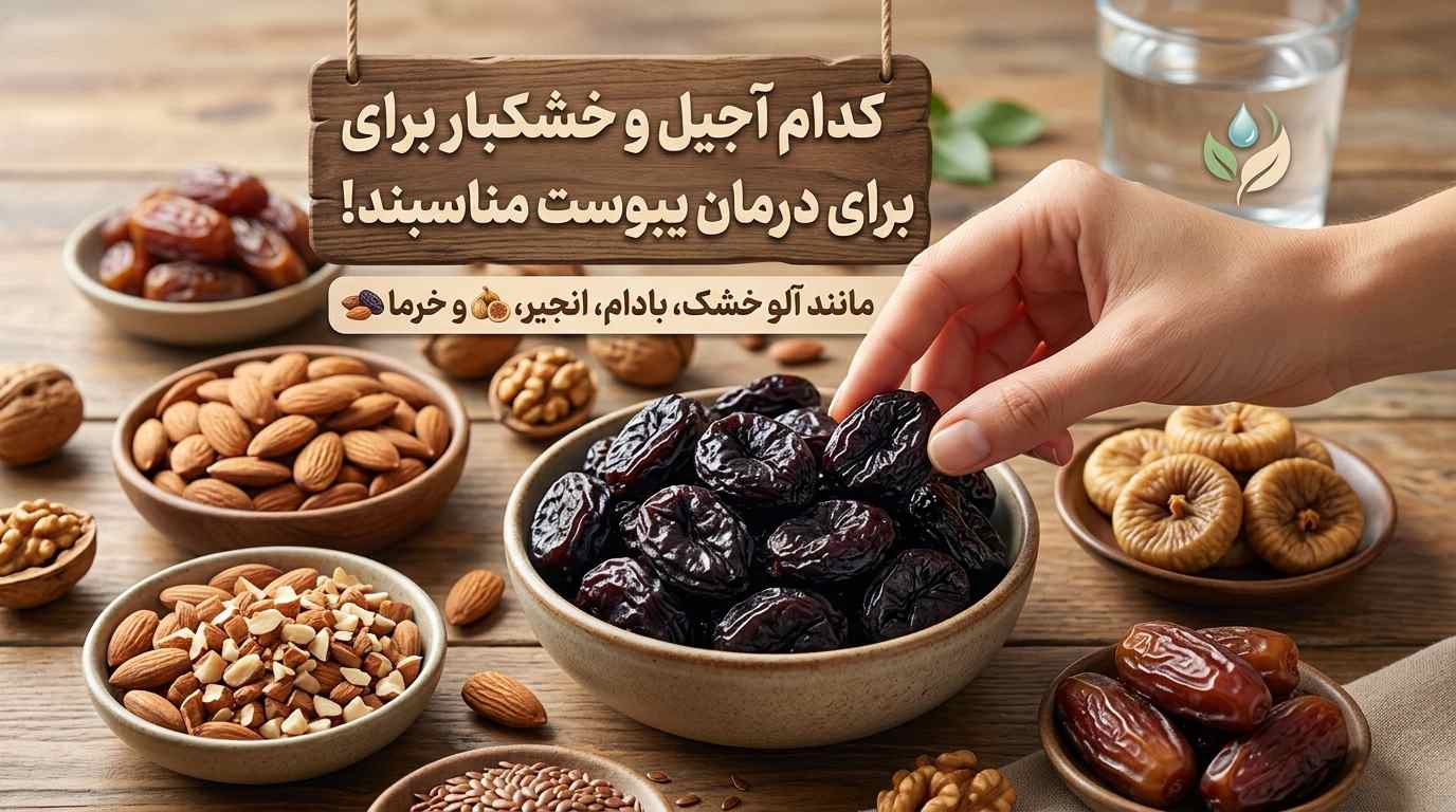آجیل و خشکبار مناسب برای یبوست و سلامت دستگاه گوارش